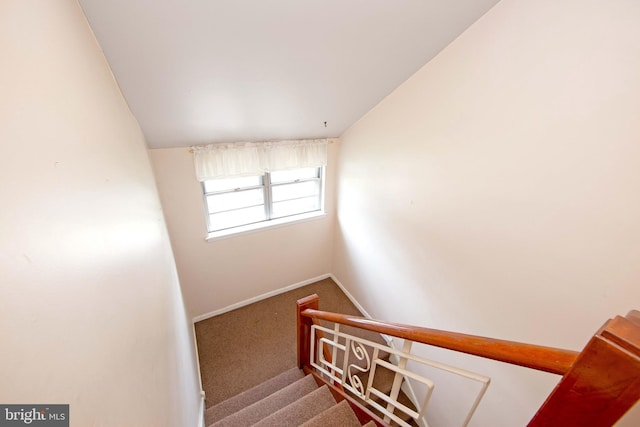 4021 Balwynne Park Rd, Philadelphia, PA 19131 - stairway featuring carpet flooring and baseboards