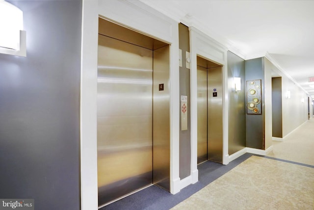 440 Belmont Bay Dr Unit 406, Woodbridge, VA 22191 - hallway featuring elevator, carpet, baseboards, and ornamental molding