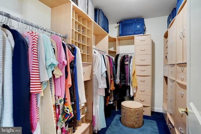 440 Belmont Bay Dr Unit 406, Woodbridge, VA 22191 - walk in closet with carpet flooring