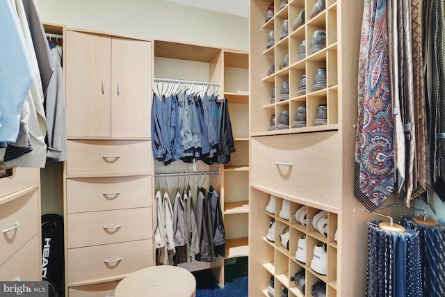 440 Belmont Bay Dr Unit 406, Woodbridge, VA 22191 - view of walk in closet