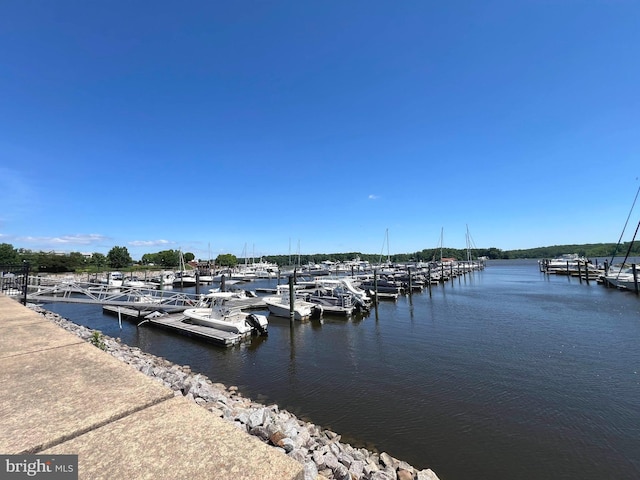 440 Belmont Bay Dr Unit 406, Woodbridge, VA 22191 - dock area with a water view