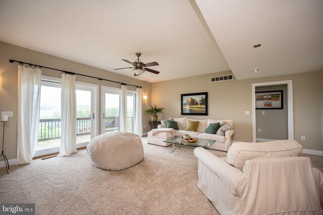 311 Summit Woods Dr, Mc Henry, MD 21541 - carpeted living room with a ceiling fan, plenty of natural light, and baseboards