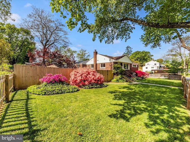 2820 Harris Ave, Silver Spring, MD 20902 - view of yard
