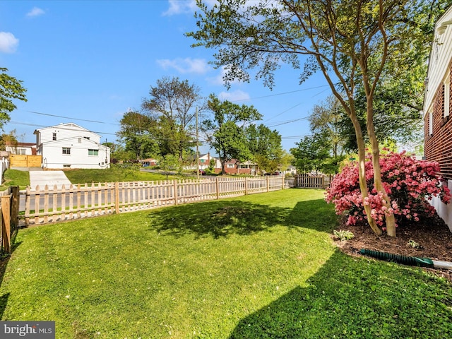 2820 Harris Ave, Silver Spring, MD 20902 - view of yard