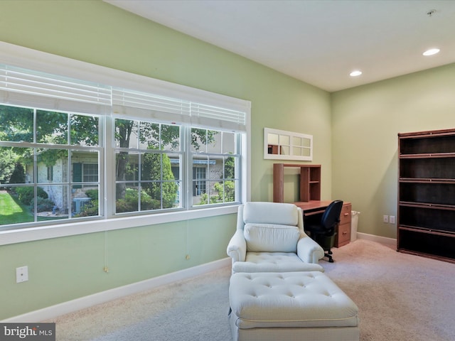 12953 Little Hayden Cir, Hagerstown, MD 21742 - living area with carpet floors, recessed lighting, and baseboards