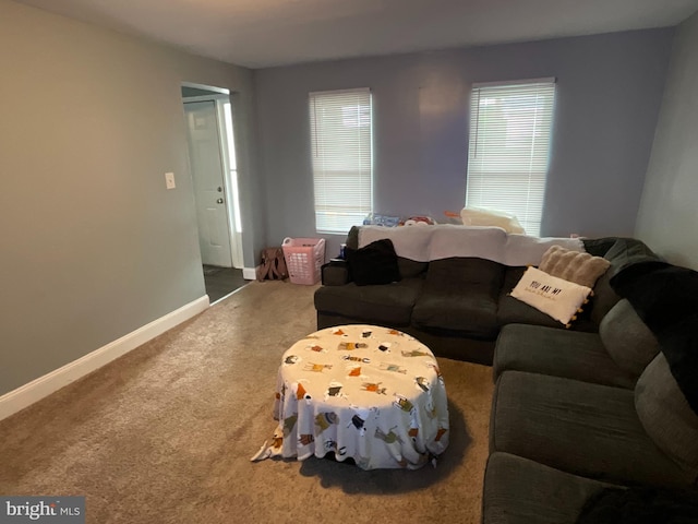 12808 New Row Rd, Mount Savage, MD 21545 - living room featuring carpet and baseboards