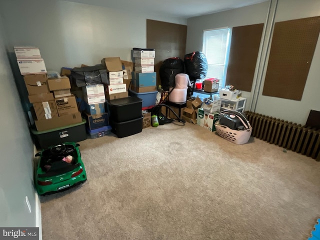 12808 New Row Rd, Mount Savage, MD 21545 - view of storage area