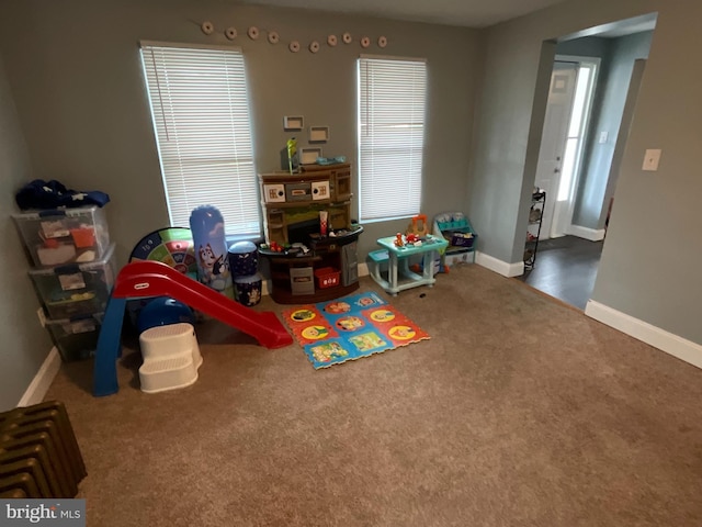 12808 New Row Rd, Mount Savage, MD 21545 - rec room with carpet and baseboards