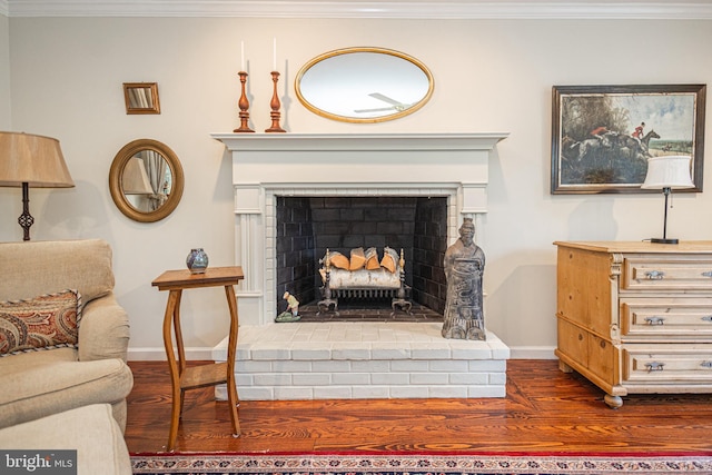 3048 Aquetong Rd, New Hope, PA 18938 - living room with dark wood-type flooring, ornamental molding, baseboards, and a fireplace