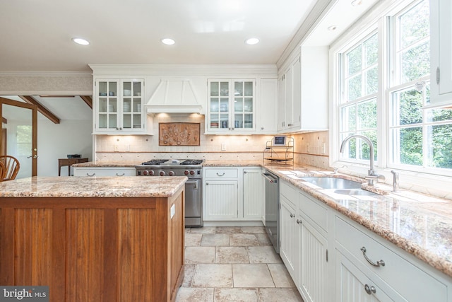 3048 Aquetong Rd, New Hope, PA 18938 - kitchen featuring appliances with stainless steel finishes, custom exhaust hood, a sink, stone tile floors, and tasteful backsplash