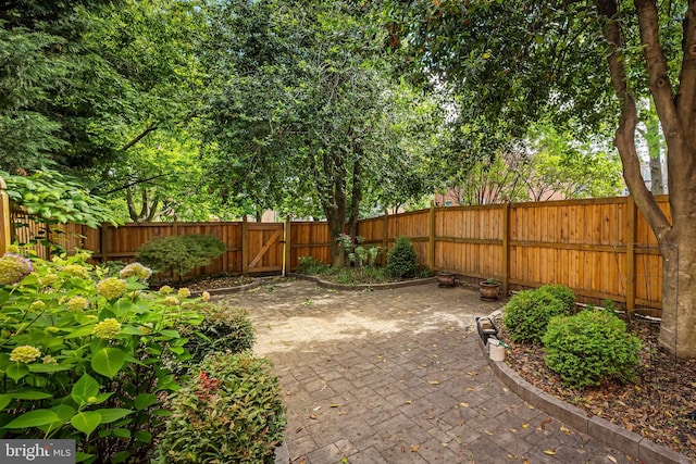 747 Mchenry St, Baltimore, MD 21230 - fenced backyard with a patio area and a gate