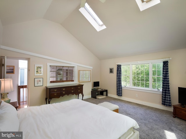 1180 Radnor Hill Rd, Wayne, PA 19087 - bedroom featuring a skylight, lofted ceiling, baseboards, and carpet floors