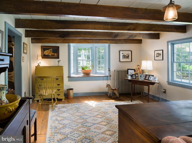 1180 Radnor Hill Rd, Wayne, PA 19087 - office space with radiator, wood finished floors, beam ceiling, and baseboards