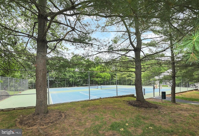 14 Coolidge Way, Princeton, NJ 08540 - view of tennis court