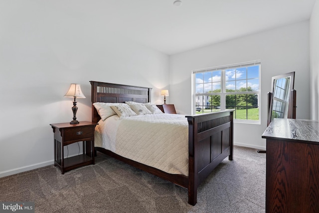 1606 Trotter St, Frederick, MD 21702 - bedroom with dark carpet and baseboards