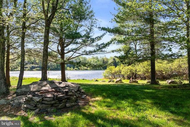 2107 Lenape Ter, Canadensis, PA 18325 - view of green lawn with a water view