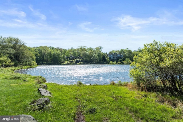 2107 Lenape Ter, Canadensis, PA 18325 - water view