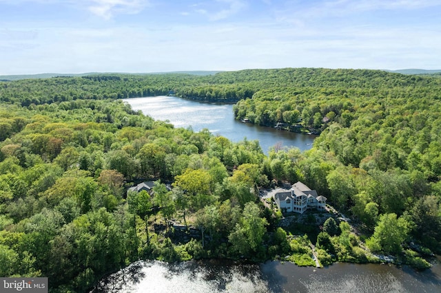 2107 Lenape Ter, Canadensis, PA 18325 - aerial view of a forest and a large body of water
