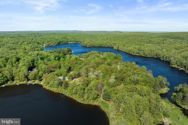 2107 Lenape Ter, Canadensis, PA 18325 - view of property location featuring a forest and a nearby body of water
