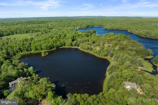 2107 Lenape Ter, Canadensis, PA 18325 - aerial overview of property's location with a heavily wooded area and a large body of water