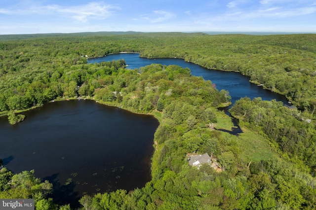2107 Lenape Ter, Canadensis, PA 18325 - view of property location with a heavily wooded area and a nearby body of water