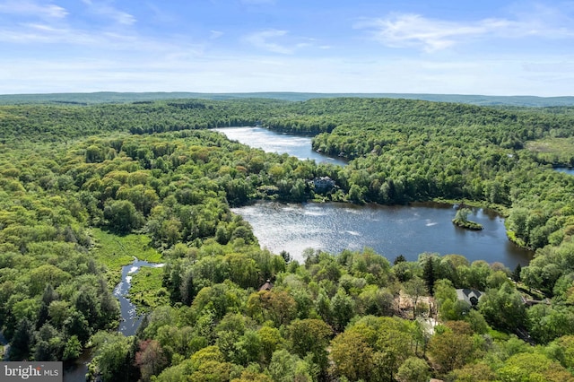 2107 Lenape Ter, Canadensis, PA 18325 - drone / aerial view of a heavily wooded area and a large body of water