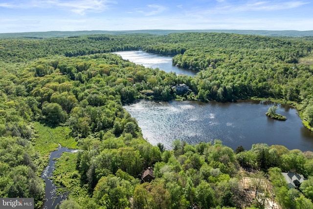 2107 Lenape Ter, Canadensis, PA 18325 - aerial view of a heavily wooded area and a large body of water