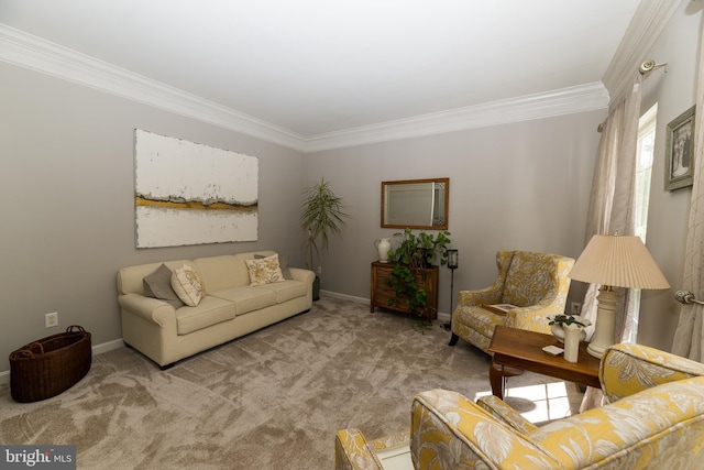 294 Arthur Ave, Port Deposit, MD 21904 - carpeted living room with ornamental molding and baseboards
