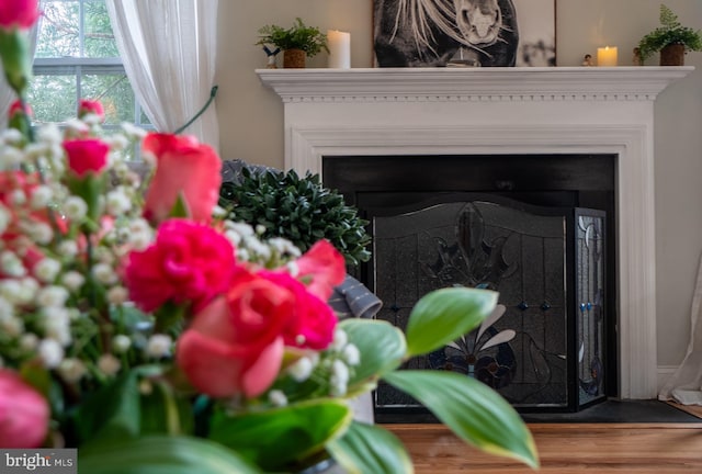 318 Ironstone Ln, Elverson, PA 19520 - detailed view of wood finished floors and a fireplace