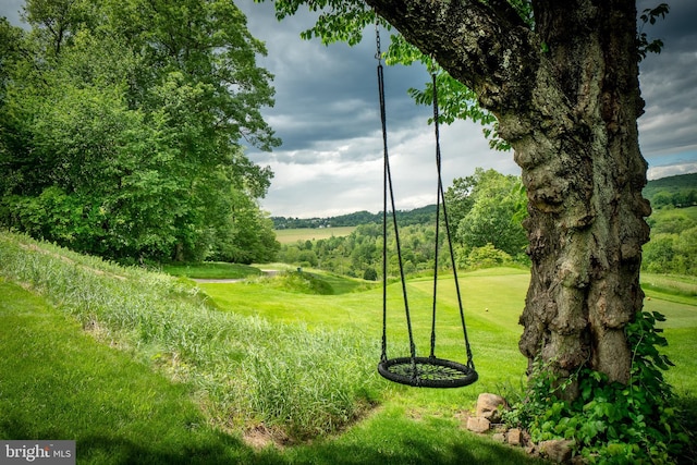318 Ironstone Ln, Elverson, PA 19520 - view of green lawn
