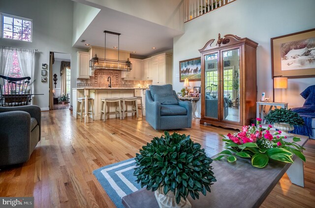 318 Ironstone Ln, Elverson, PA 19520 - living room featuring a towering ceiling and light wood finished floors