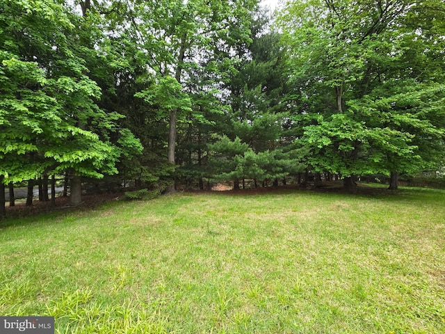 585 Andrew Dr, Southampton, PA 18966 - view of green lawn