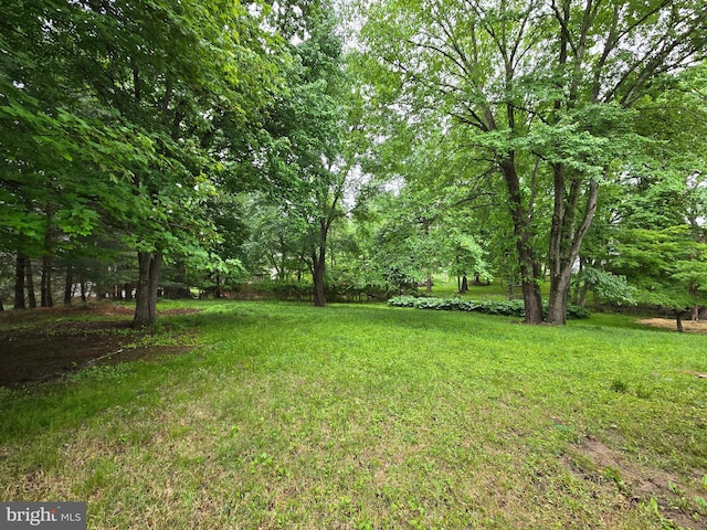 585 Andrew Dr, Southampton, PA 18966 - view of green lawn