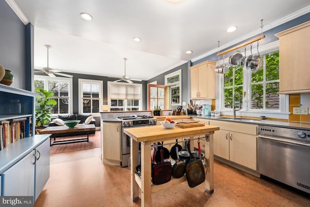 213 N Queen St, Chestertown, MD 21620 - kitchen with appliances with stainless steel finishes, a sink, ceiling fan, crown molding, and recessed lighting