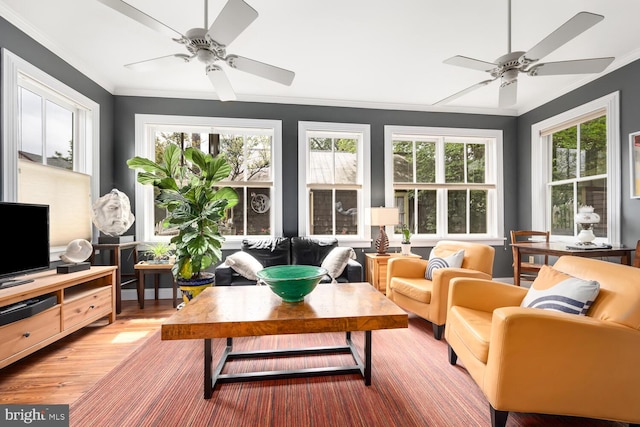 213 N Queen St, Chestertown, MD 21620 - view of sunroom