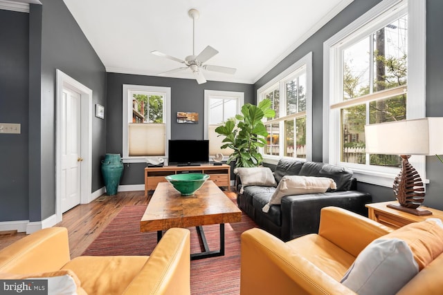 213 N Queen St, Chestertown, MD 21620 - living room with healthy amount of natural light, a ceiling fan, wood finished floors, ornamental molding, and baseboards