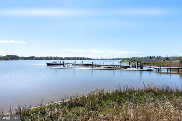213 N Queen St, Chestertown, MD 21620 - dock featuring a water view