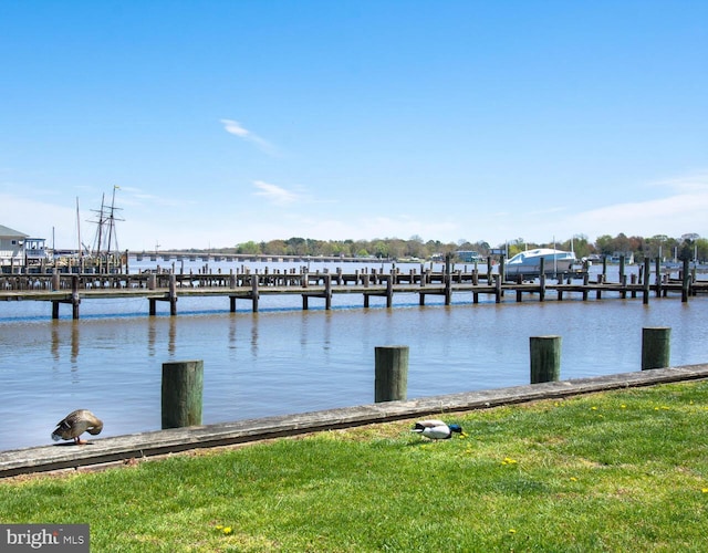 213 N Queen St, Chestertown, MD 21620 - dock featuring a water view