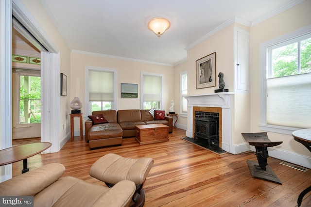 213 N Queen St, Chestertown, MD 21620 - living room featuring plenty of natural light, light wood-style floors, ornamental molding, a wood stove, and baseboards