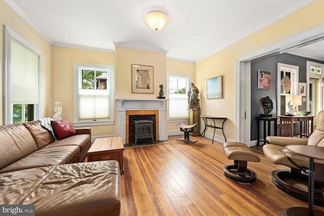 213 N Queen St, Chestertown, MD 21620 - living room featuring a wood stove, hardwood / wood-style flooring, ornamental molding, and baseboards