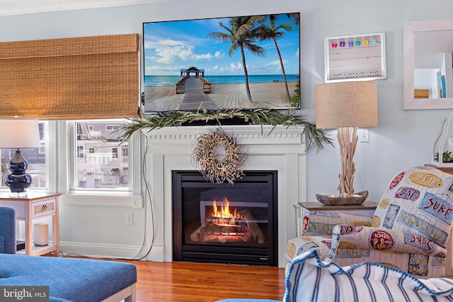 38 N 10th St, Surf City, NJ 08008 - living area featuring wood finished floors and a glass covered fireplace