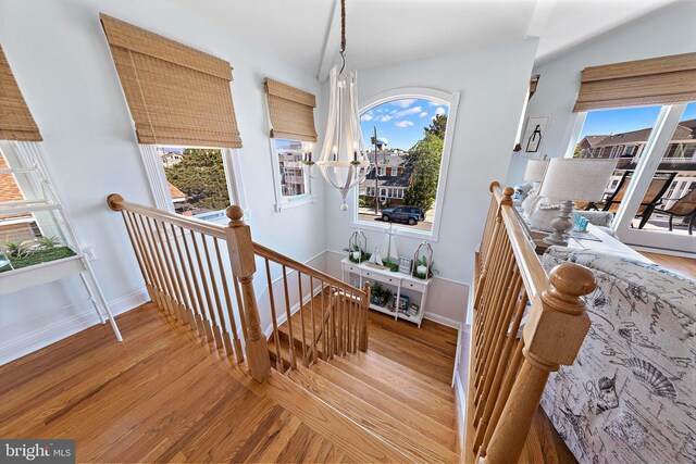 38 N 10th St, Surf City, NJ 08008 - staircase with wood finished floors, healthy amount of natural light, and baseboards
