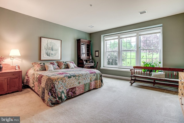 137 Settlers Way, Boalsburg, PA 16827 - view of carpeted bedroom