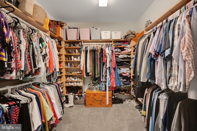 26248 Tranquility View Ct, Mechanicsville, MD 20659 - spacious closet with carpet