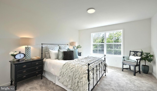 67 Glenn Vw, Carlisle, PA 17013 - bedroom with carpet floors and baseboards
