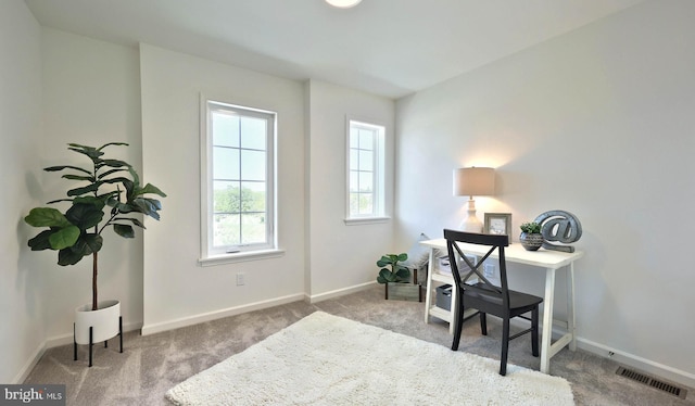 67 Glenn Vw, Carlisle, PA 17013 - office space featuring carpet floors and baseboards