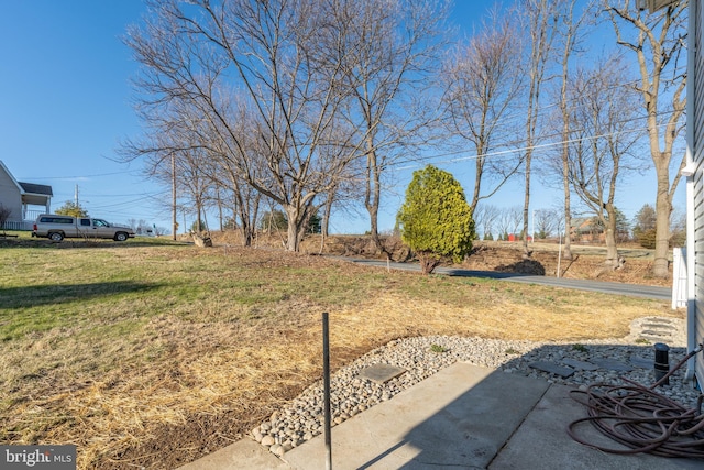 view of yard with a patio