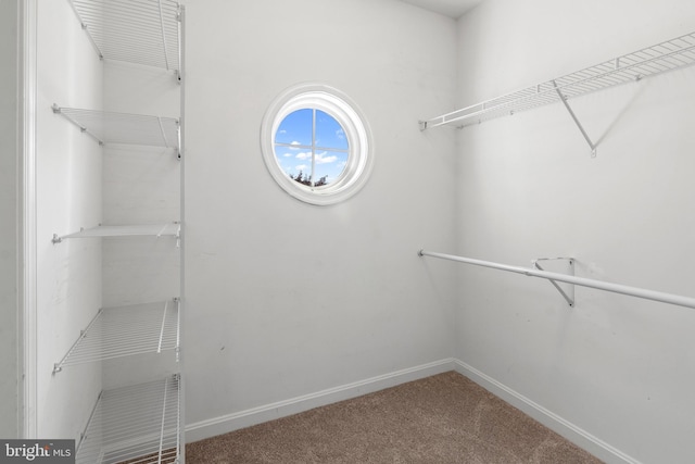 1209 Stevenage Ct, Abingdon, MD 21009 - spacious closet featuring carpet flooring