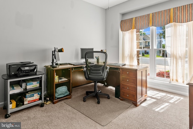 1209 Stevenage Ct, Abingdon, MD 21009 - home office with carpet floors
