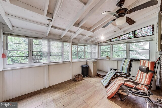 4208 Longfellow St, Hyattsville, MD 20781 - sunroom with hardwood / wood-style floors, ceiling fan, healthy amount of natural light, and wooden walls